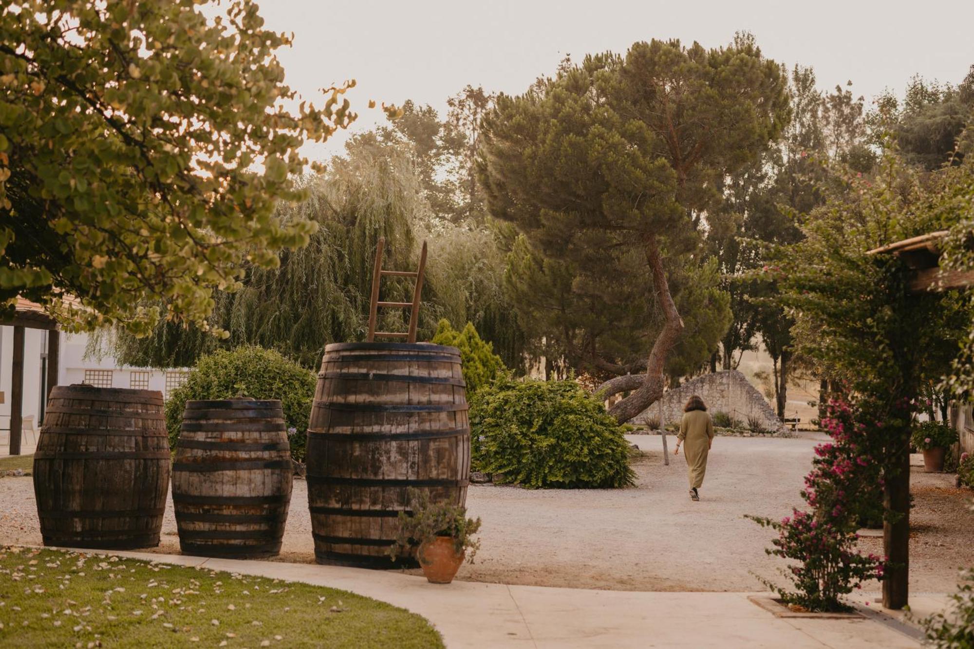 Quinta Carvalhas - The Green Farm Hotel Casevel Exterior foto