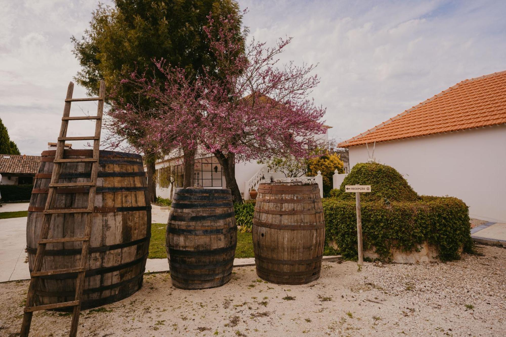 Quinta Carvalhas - The Green Farm Hotel Casevel Exterior foto